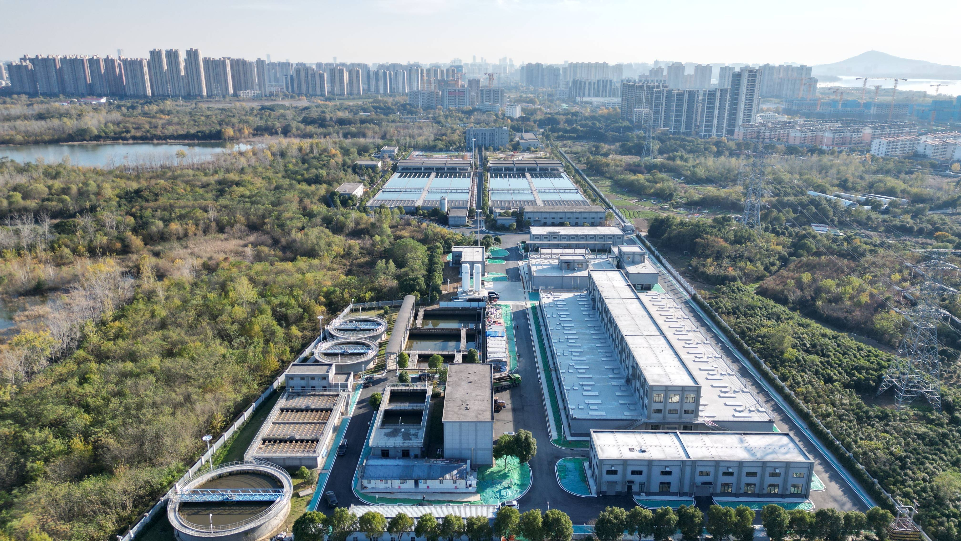 龙岩市合肥专业企业价值增长(合肥市重点企业产业目录)