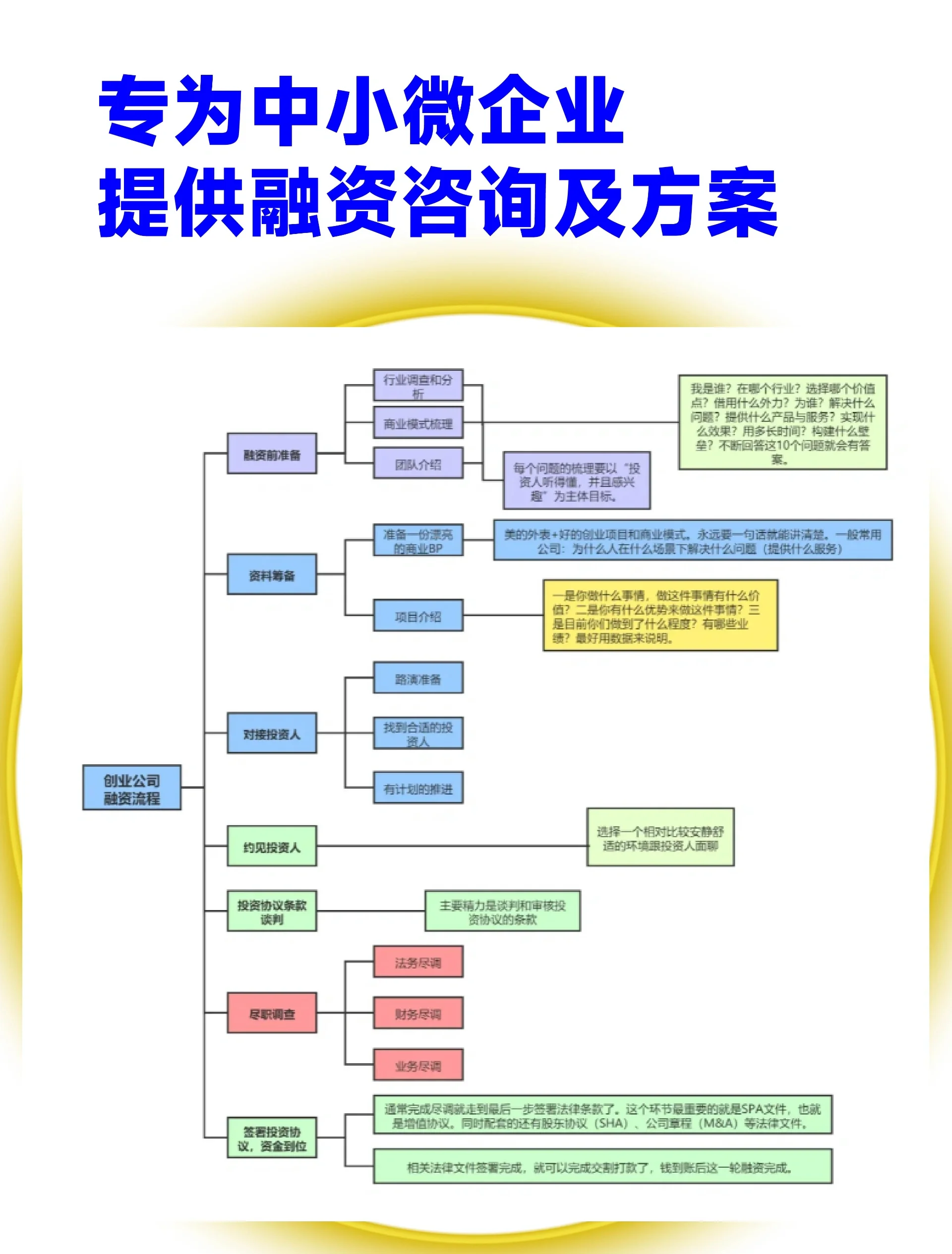 龙岩市宠物企业资金管理(宠物管理机构叫什么)