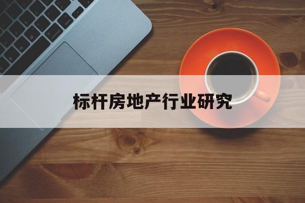 龙岩市标杆房地产行业研究(房地产领域的标杆人物)