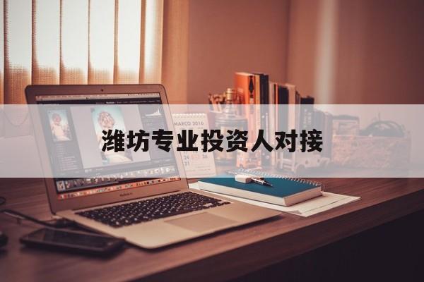 龙岩市潍坊专业投资人对接(潍坊专业投资人对接中心)