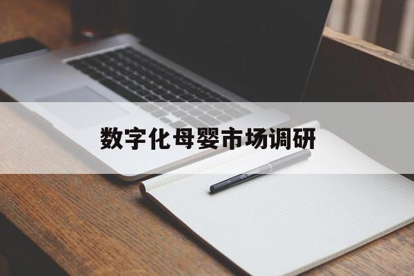 龙岩市数字化母婴市场调研(数字化母婴市场调研报告)