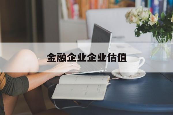 龙岩市金融企业企业估值(最新企业估值怎么填)